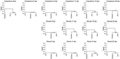 The Cytokinin Complex Associated With Rhodococcus fascians: Which Compounds Are Critical for Virulence?